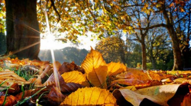 prognoza meteo pentru 9 10 11 si 12 octombrie cer senin