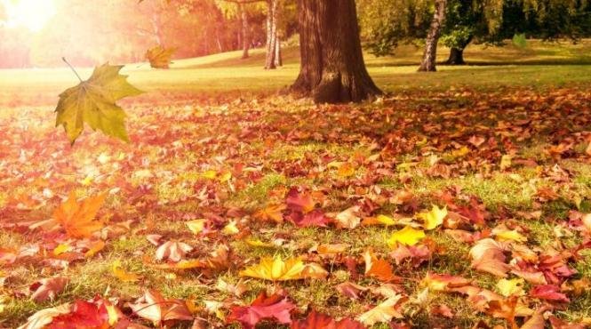 prognoza meteo pentru 10 11 12 si 13 octombrie cer senin