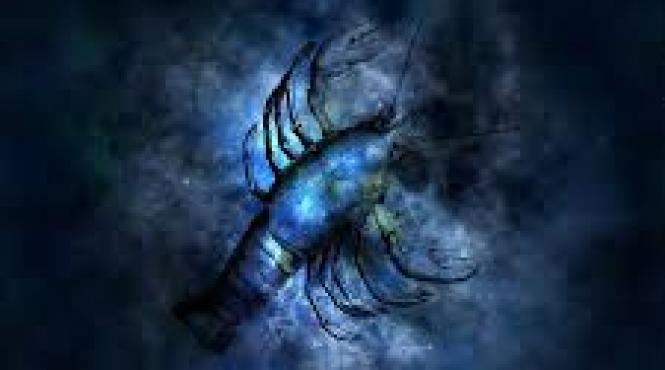 horoscop cum va fi anul 2019 pentru nativii din zodia rac