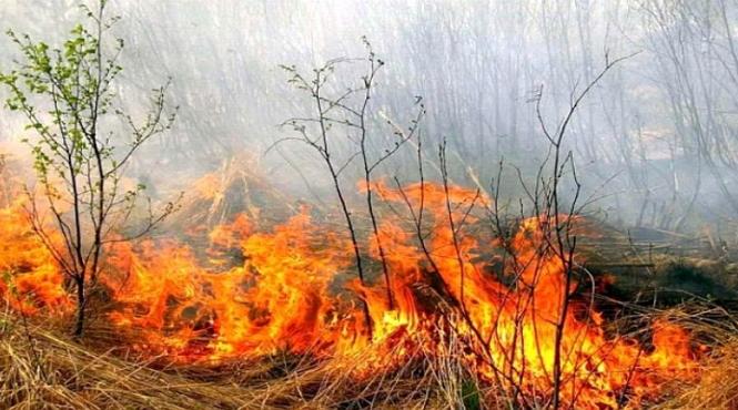 atentie soferi trafic oprit pe a1 zona localitatii petresti din cauza unui incendiu de vegetatie