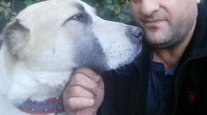 tavi colen dezvaluire surprinzatoare la mine in casa nu e loc de doi sefi