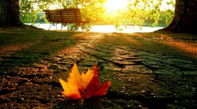 prognoza meteo pentru 16 17 18 si 19 octombrie cer senin