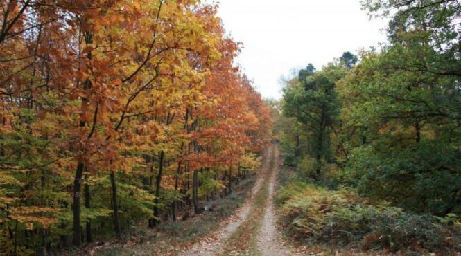 prognoza meteo pentru 18 19 20 si 21 octombrie cer noros