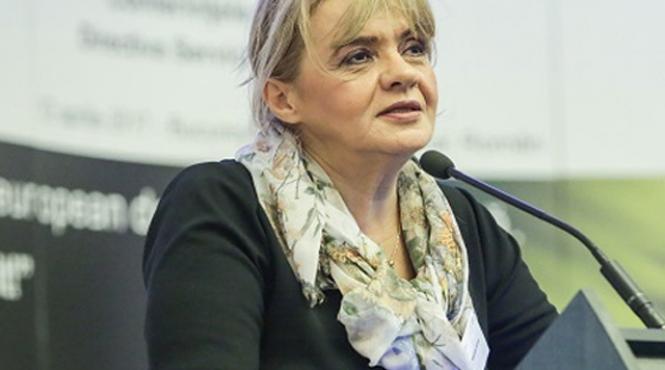 ruxandra avram bnr nu incurajam utilizarea monedelor virtuale prin canalele bancare