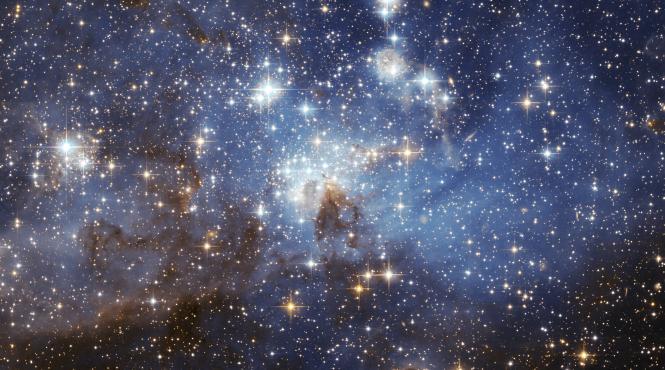 horoscop 1 noiembrie 2018 pestii se vor distra intr o petrecere de toata frumusetea