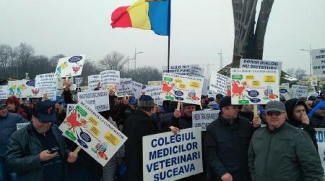 colegiul medicilor veterinari organizeaza astazi un miting de protest in piata victoriei