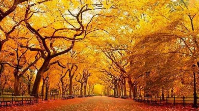 prognoza meteo pentru 9 10 11 si 12 noiembrie cer senin