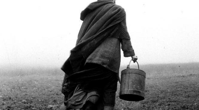 saptamana filmului maghiar la muzeul taranului roman