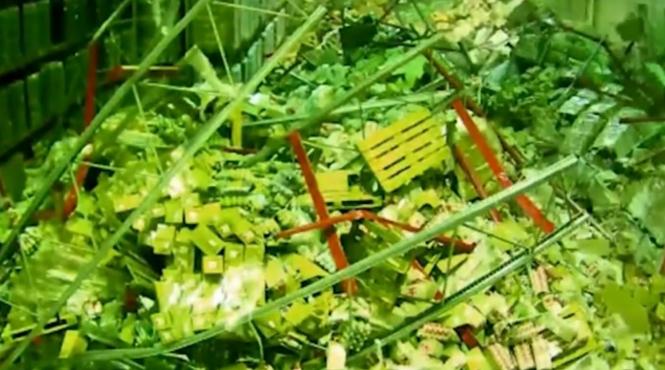 video un muncitor darama un depozit intreg