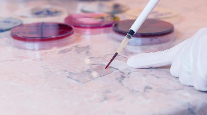 avertismentul medicilor carenta de fier boala grava dar ignorata