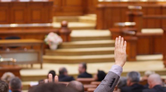 guvernul poate cere un mandat parlamentului