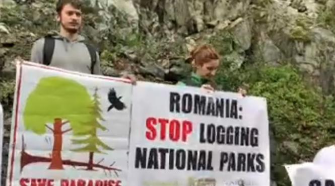 bbc a difuzat un reportaj despre defrisarile ilegale din romania