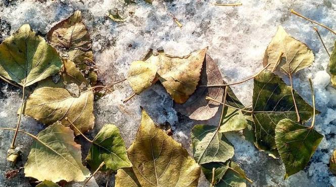 anunt de ultima ora de la anm cum va fi vremea in urmatoarele doua saptamani