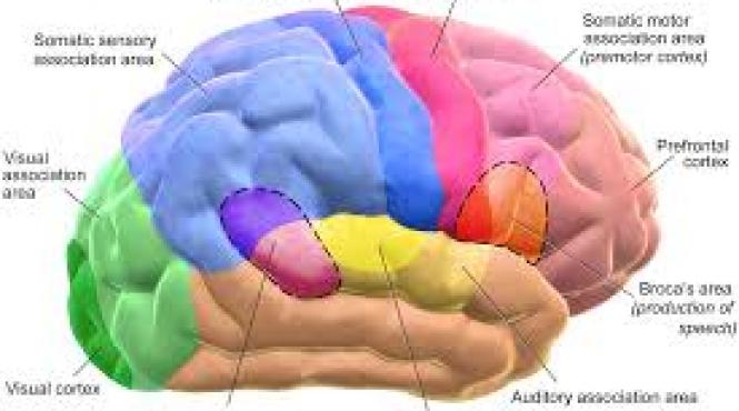 memoria este mult mai abstracta decat credem