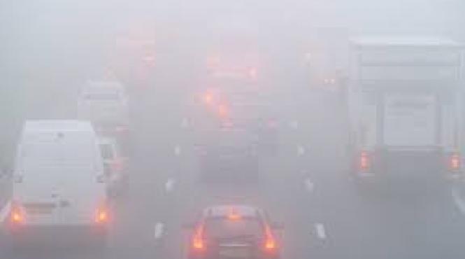 cod galben de ceata in bucuresti ialomita braila ilfov constanta si tulcea luni seara