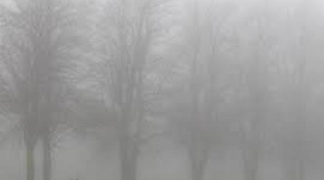 avertizari de ceata intensificari ale vantului si chiciura in judete din dobrogea si transivania in orele urmatoare