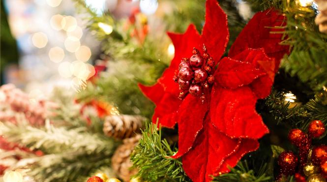 cum sa si faci singur decoratiunile de craciun