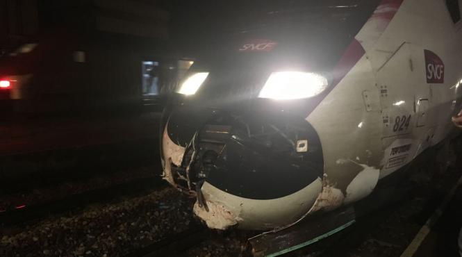 franta un tren de mare viteza a intrat intr o cireada de vaci