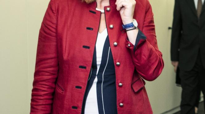 dubla cetatenie pentru austrieci