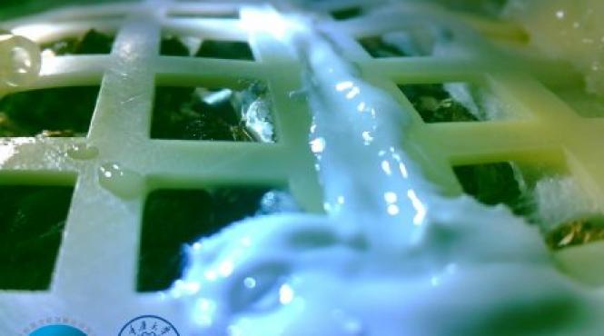 chinezii au inceput sa creasca bumbac pe fata nevazuta a lunii