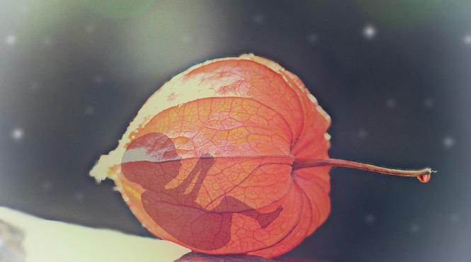 unei femei din irlanda nu i a fost permis avortul