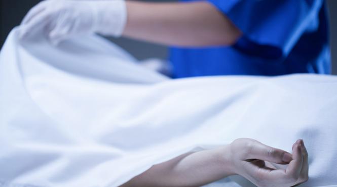 gripa a ucis 29 de oameni