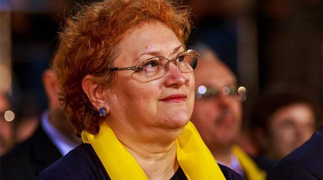 renate weber atac devastator la elmar brok cel care cerea activarea articolului 7 impotriva romaniei