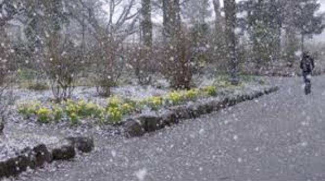 alerta anm cod galben de ceata vant ploi si burnita in 15 judete luni dupa amiaza