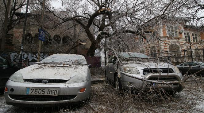 bilantul pagubelor dupa 4 zile de ploaie inghetata