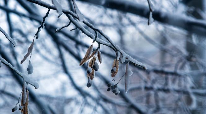 prognoza meteo pentru 29 30 31 si 1 februarie cer noros