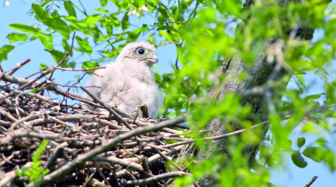 o noua destinatie turistica din bani europeni