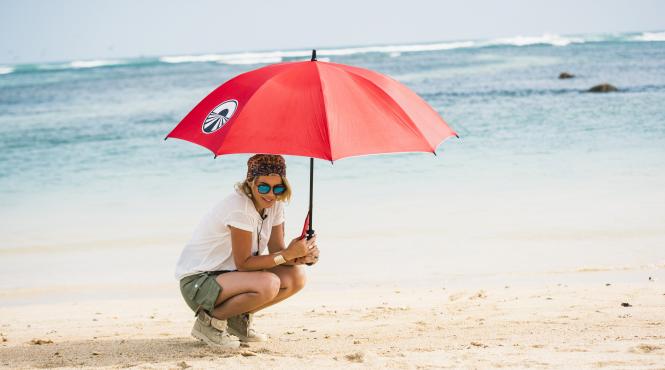 temperaturi ridicate si umiditate de peste 90 marile provocari din asia express drumul elefantului