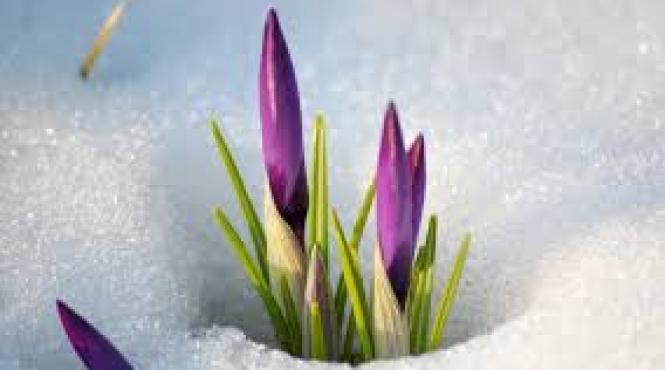 prognoza meteo de la anm temperaturi record pentru luna februarie