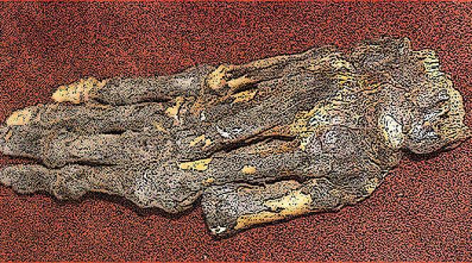 un corp conservat perfect timp de 450 de ani ar putea ajuta la vindecarea artritei