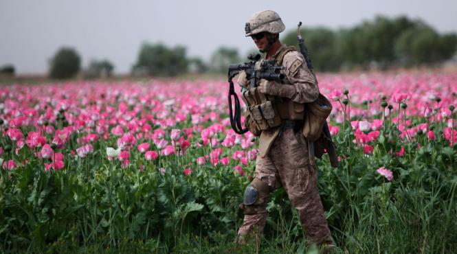 narco jihadistii afgani finantati de sua