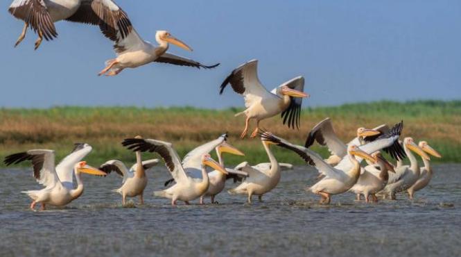 operatorii turistici din delta vand oferte si pentru 2021