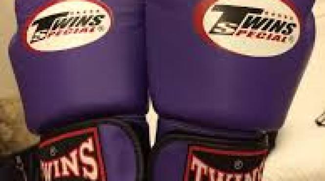 un kickboxer de 14 ani a murit dupa ce o conditie foarte rara s a declansat in timpul unui meci