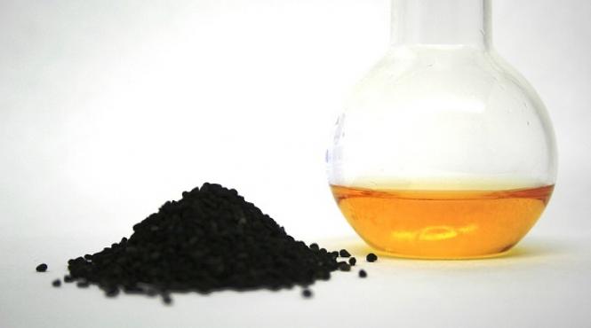 planta despre care biblia spune ca poate vindeca orice boala