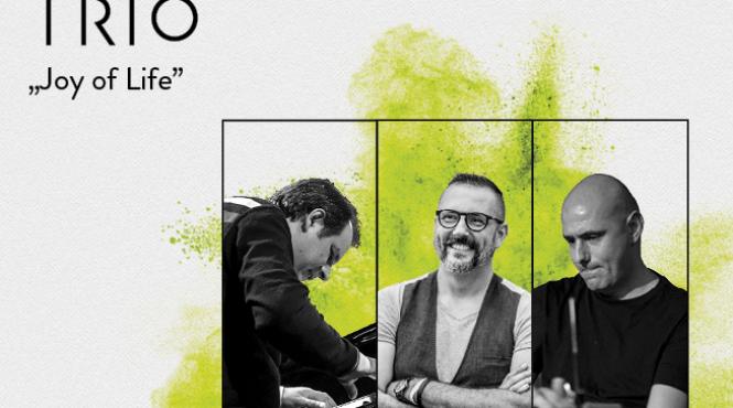 concertul de jazz luiza zan trio de la arcub este sold out la artist in residence urmeaza petrica andrei trio