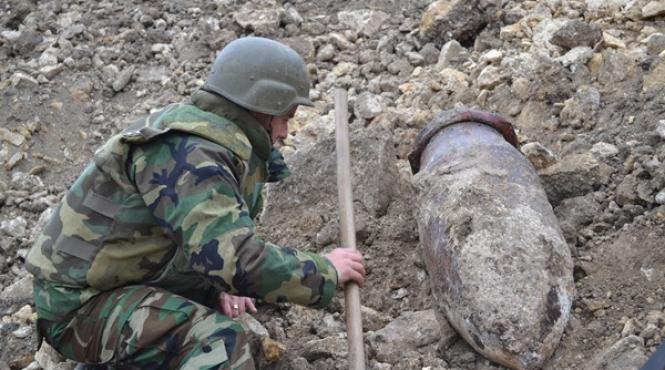 mai multe proiectile explozive descoperite intr o padure din vrancea