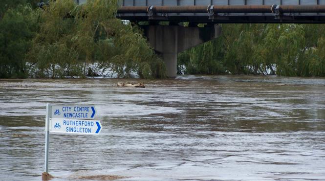 marea bariera de corali amenintata in urma inundatiilor din australia