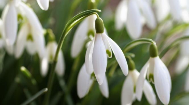 prognoza meteo pentru 19 20 21 si 22 februarie vreme frumoasa