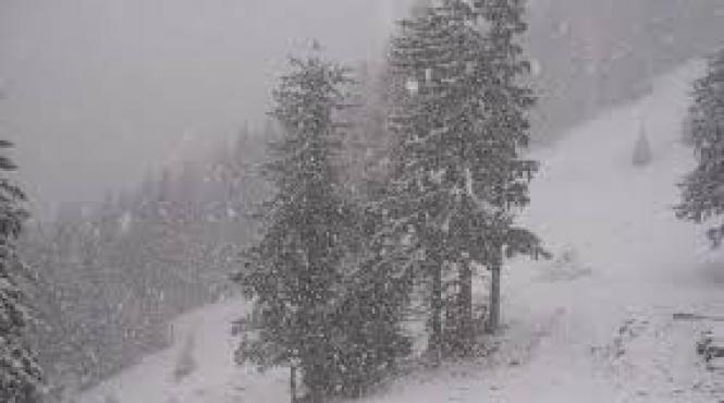 circa 90 de turisti blocati in drum spre statiunea rausor din retezat