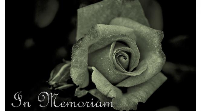 tragedie la iasi fiul unui mare artist din romania a fost rapus de o boala necrutatoare avea doar 32 de ani