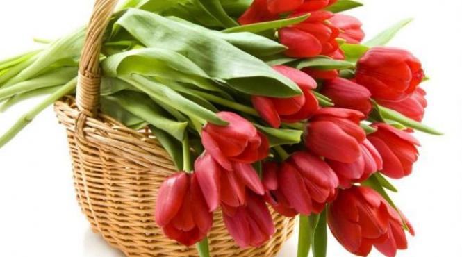 mesaje de 8 martie cele mai frumoase urari si sms uri pe care le puteti trimite femeilor din viata dumnevoastra