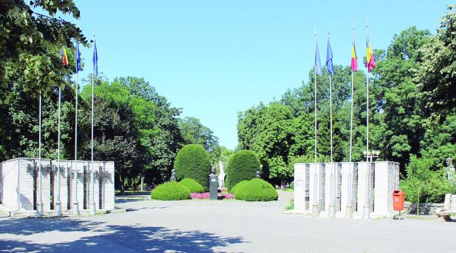 licitatie cu cantec de leagan la primaria timisoara