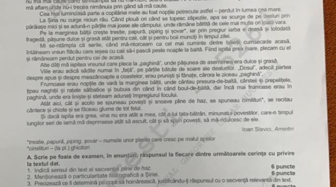 ce subiecte au primit elevii la proba de limba si literatura romana la simularea pentru bacalaureat
