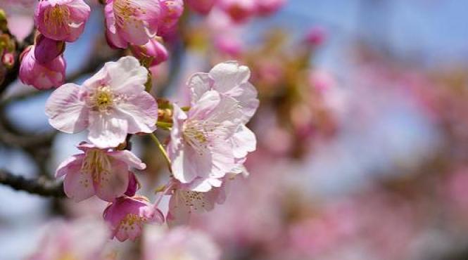 vesti noi de la meteorologi cum va fi vremea in urmatoarele zile