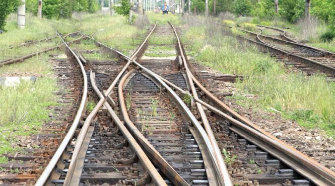 barbat lovit mortal de tren intre chitila si giulesti circulatia feroviara oprita