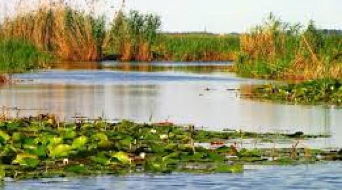 tulcea bolero prima nava de croaziera fluviala care a ajuns in delta dunarii